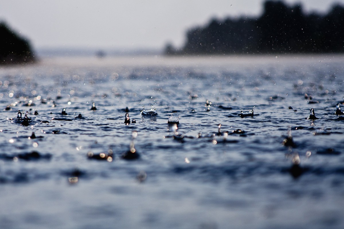 Ученые объяснили влияние дождя на распространение бактерий
