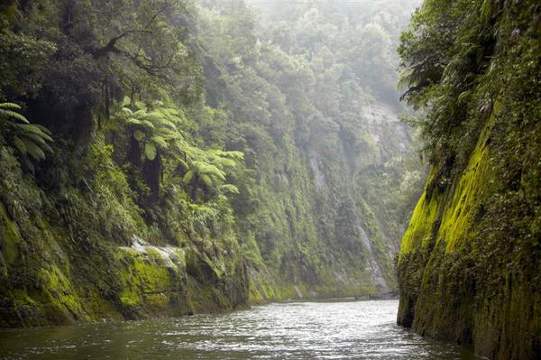 Реку в Новой Зеландии наделили правами человека