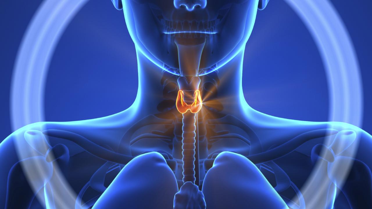 Щитовидная железа, симптомы заболевания и лечение народными средствами