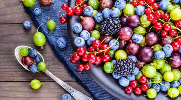 Период между окончанием роста побегов и сбором плодов и ягод